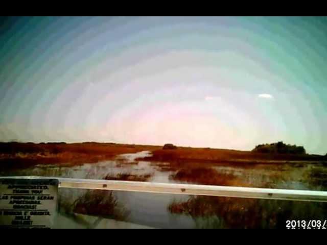 Airboat Ride, Everglades