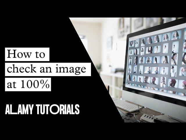 Alamy Quality Control. How to check an image at 100%