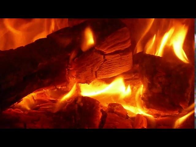 Real Campfire at Night