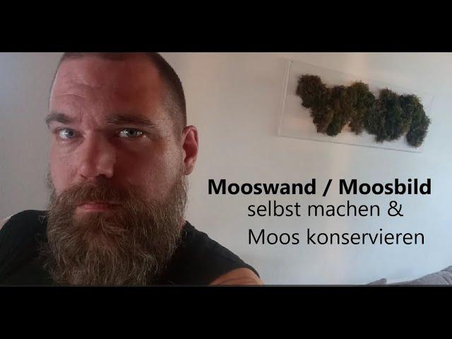 Moosbild / Mooswand selbst machen & Moos konservieren