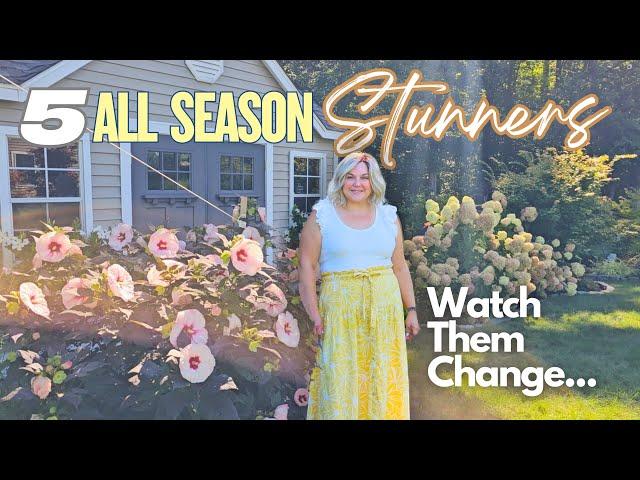 Transform Your Garden with these 5 Shrubs/Plants! Easy-Care & Gorgeous All Season Long!