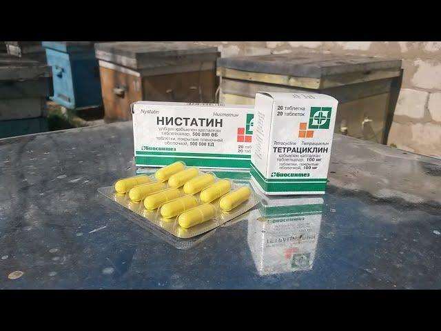 Профилактика болезней пчел/Как подкормить пчелопакет ранней весной.