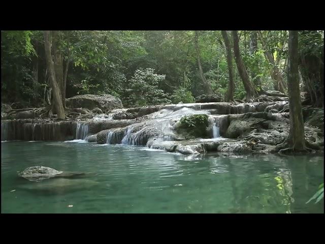 1 HOUR relaxing video with nature. A HOUR with nature Flowing River