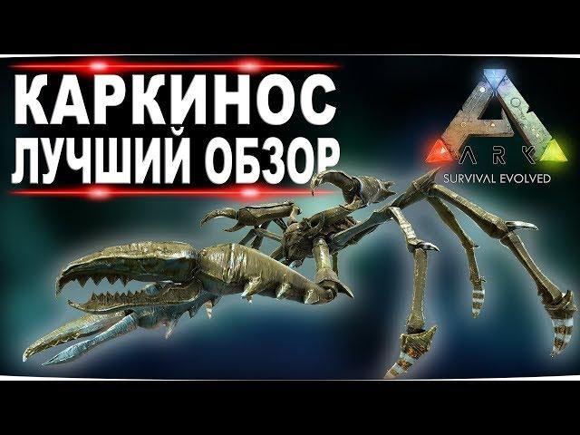 Каркинос (Karkinos) в АРК. Лучший обзор: приручение и способности краба в ark.