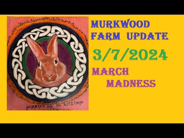 MURKWOOD FARM UPDATE 7 MAR 2024 MARCH MADNESS OVER HERE