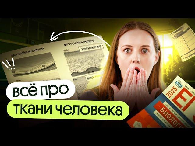 ️Всё про ТКАНИ ЧЕЛОВЕКА для ЕГЭ по БИОЛОГИИ 2025