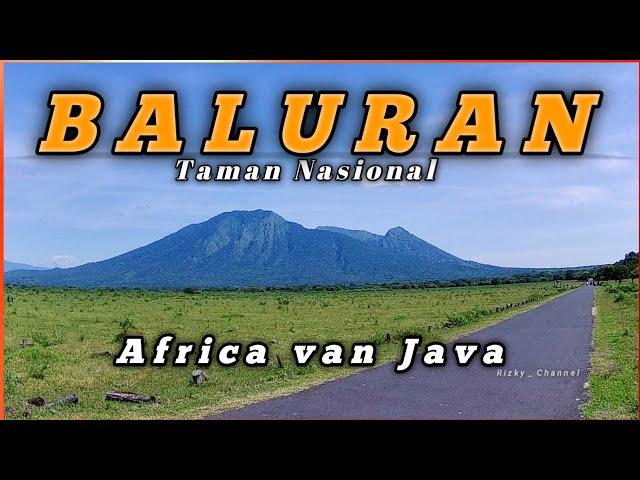 Baluran National Park |  Exploring the Alas Baluran Forest on the Banyuwangi - Situbondo Border
