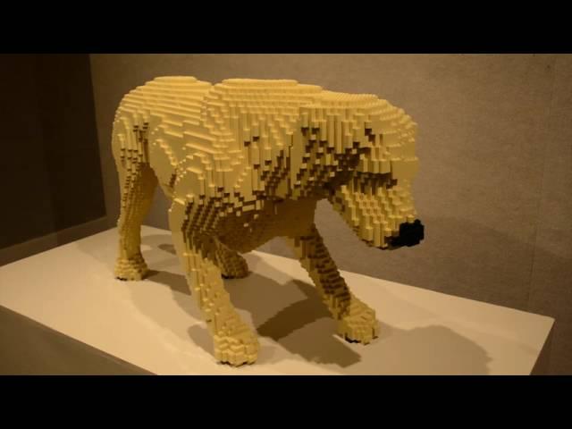 The Art of the Brick- MyrtleBeach.com