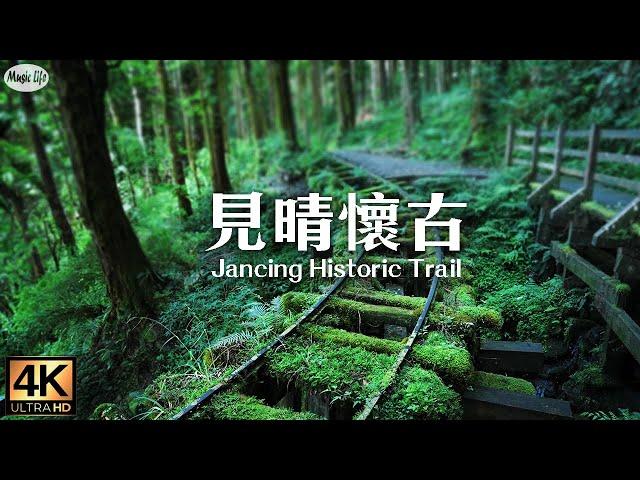 森林療癒系4 最美的步道 見晴懷古步道 空拍台灣山雲海風景與放鬆抒情鋼琴曲Taipingshan Forest  & Jancing Historic Trail  Relax Piano Music