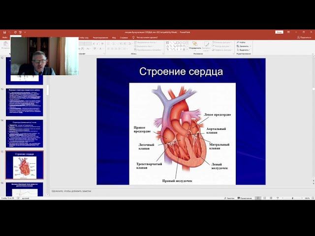 Пропедевтика внутренних болезней. Аускультация сердца и сосудов