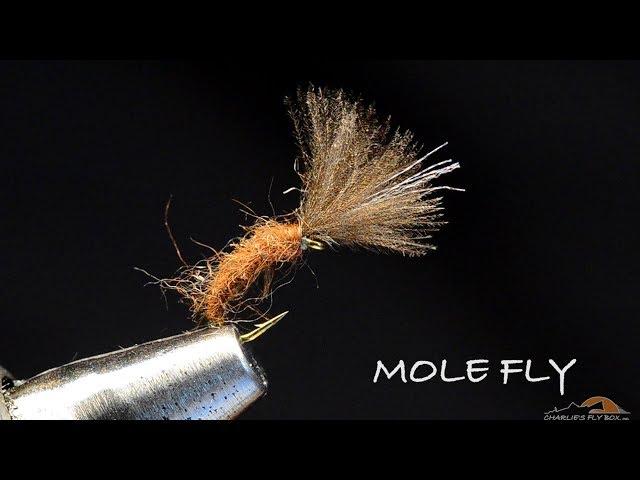 Mole Fly by Charlie Craven