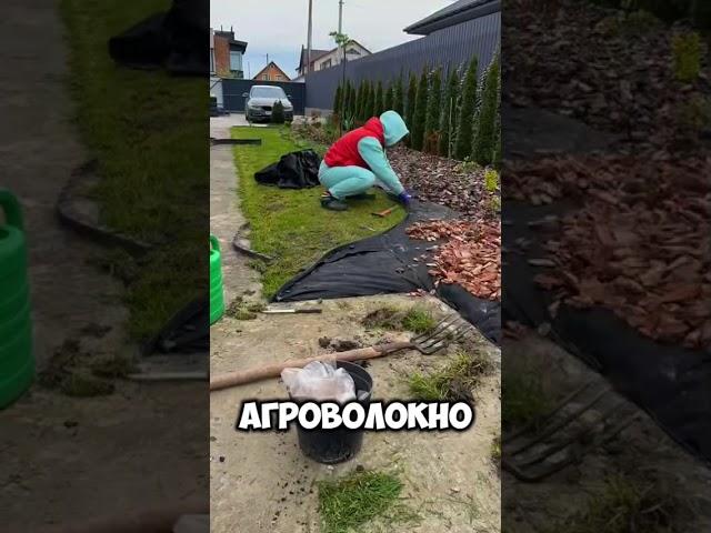 Грядка своими руками