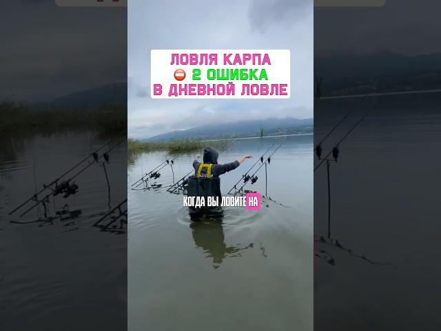 ГЛАВНАЯ ОШИБКА в дневной рыбалке на карпа. Карпфишинг 2025
