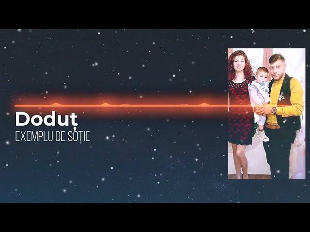 Doduț - Exemplu de soție (Audio Oficial)