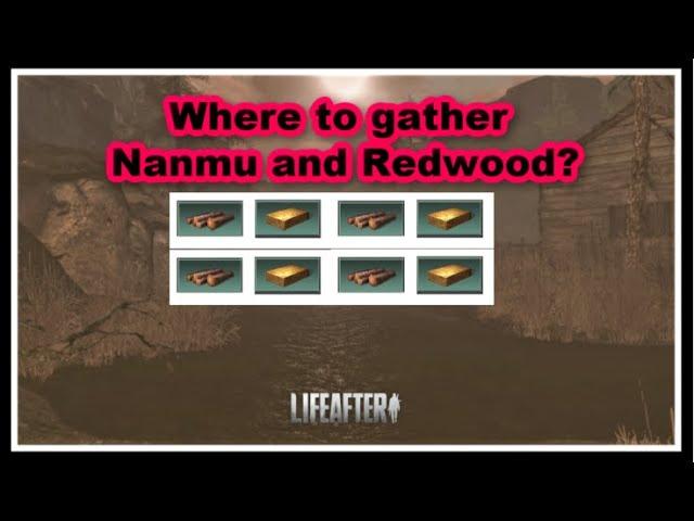 LifeAfter- Where to Gather Nanmu and Redwood? ( New Update!)