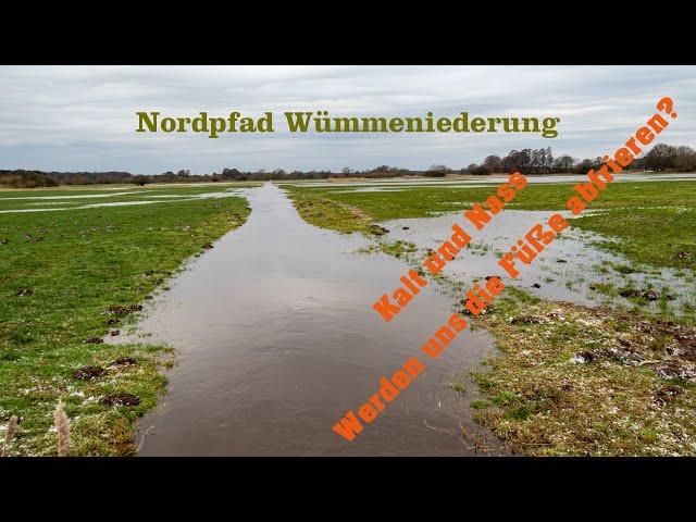 Nordpfad Wümmeniederung zwischen Hellwege und Everinghausen