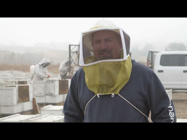 Indoor Storage of  Honey Bees  Preparing Bees for Indoor Storage