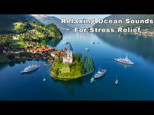 Relaxing Ocean Sounds & Sea Lions | Music & White Noise for Stress Relief, Anxiety, & Depression!