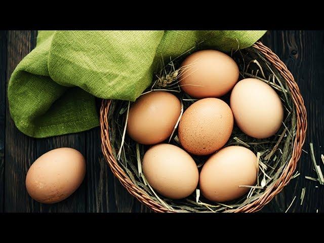 ЗАКЛАДКА КУРИНЫХ ЯИЦ НА ИНКУБАЦИЮ. Обзор закладки на ферме.