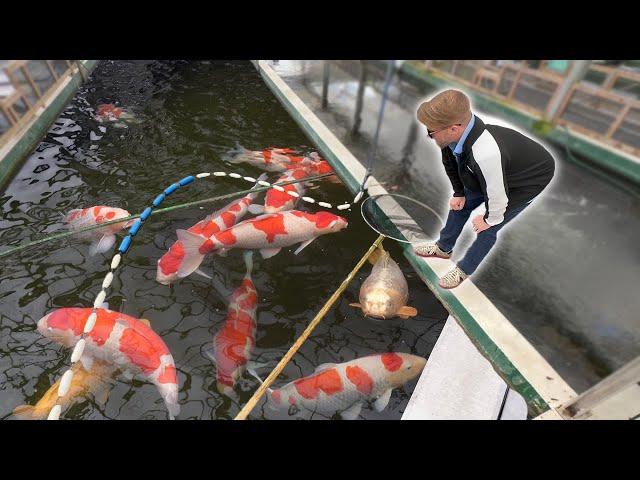 Sakai Fish Farm PLUS Narita Visit **BIG FISH!**