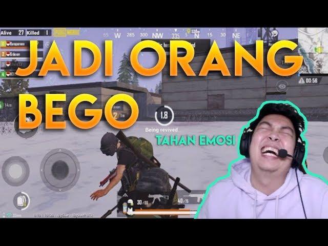 Pura-Pura Bego Sampai Chicken Dinner - PUBG MOBILE INDONESIA