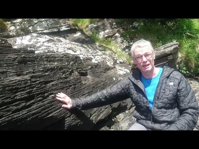 Earliest ancestors of the animals at Diabaig, Torridon