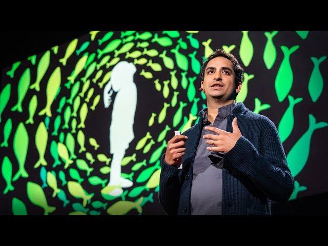 Four billion years of evolution in six minutes | Prosanta Chakrabarty