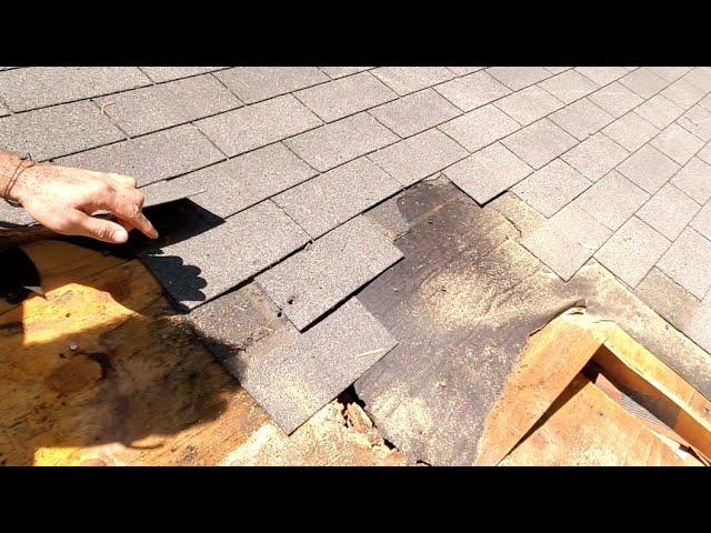 Roof repairs replacing rotten plywood