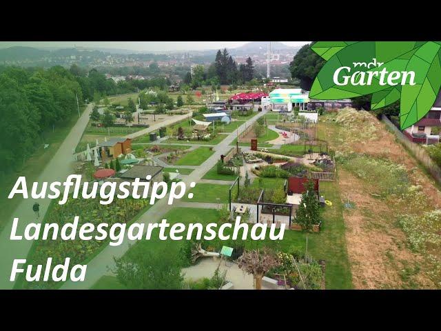 Landesgartenschau Fulda: Darum lohnt sich ein Besuch in Hessen | MDR Garten