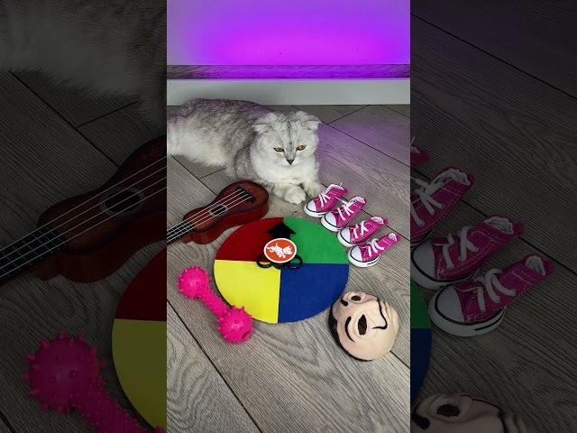 КОШКА СОНЯ ИГРАЕТ НА ГИТАРЕ