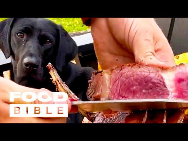 Outdoor Cooking With My Dog  | FOODbible