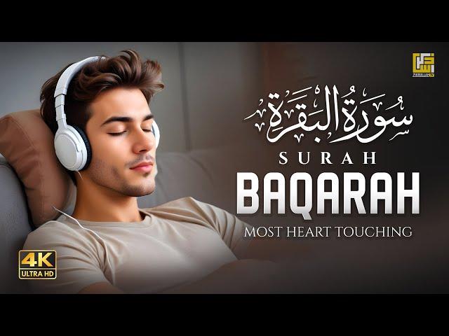 Surah Al Baqarah Full (4K) سورة البقره | HEART TOUCHING RECITATION | Zikrullah TV