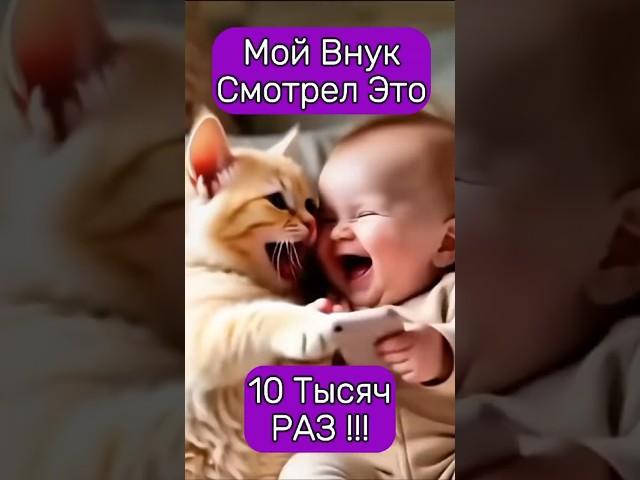 Этот кот рассмешил всех до слёз!