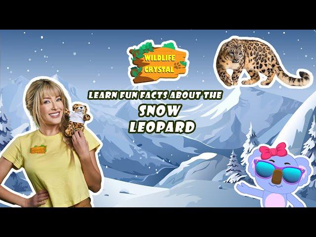 Snow Leopard Facts