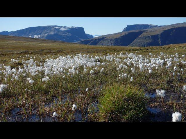 Trekking in Nordreisa: Pilteridalen, Čillagáisá, Fávrresvárri & more