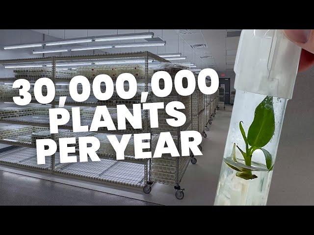 Private Tour of a HUGE Tissue Culture Lab