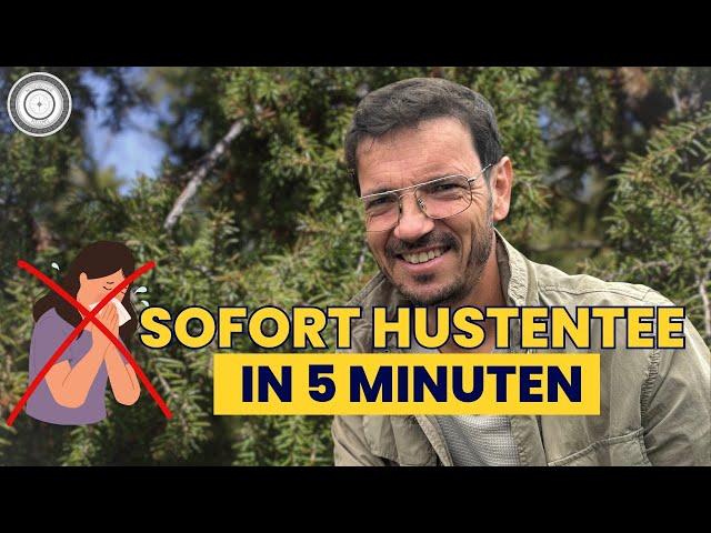 WACHOLDERNADEL-(HUSTEN)TEE - antibakteriell, super lecker, wohltuend & SUPER EASY