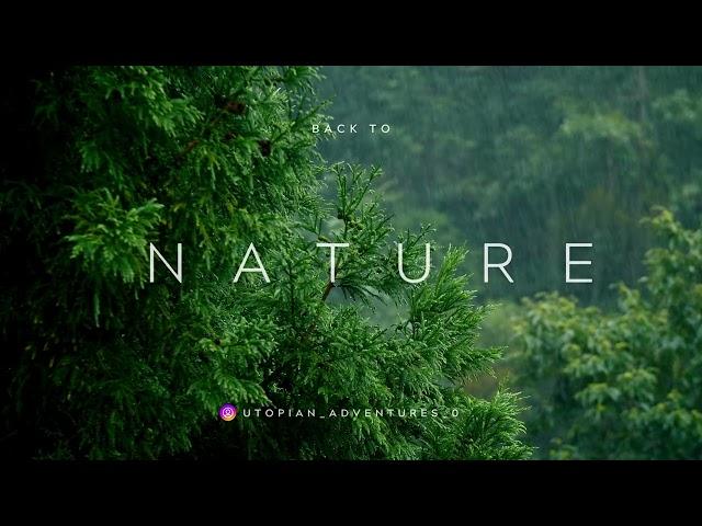 "Nature Lovers' Paradise | Beautiful Timelapse and Relaxing Adventure"