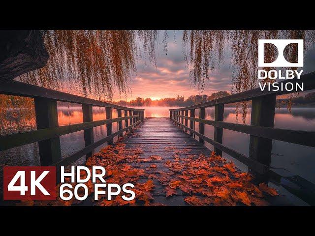 A Journey to the RAW BEAUTY of Nature in 4K HDR 60fps Dolby Vision