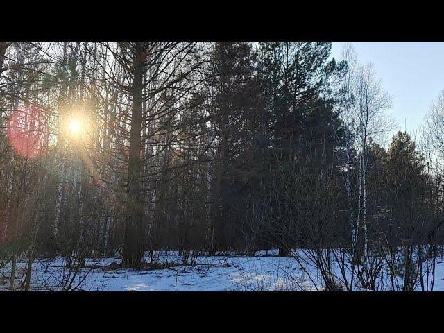 ГОЛОС ПРОРОКА в прямом эфире!