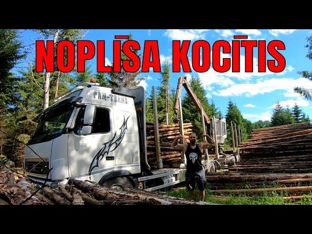 NOPLĪSA MANS KOCĪTIS ! DABŪJU CITU ! KOKVEDĒJA PIEDZIVOJUMI NR. 19