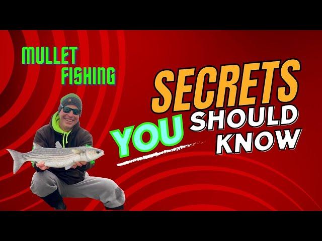 Mullet Fishing Secrets YOU Should Know | Part One, The Basics | Vlog#106