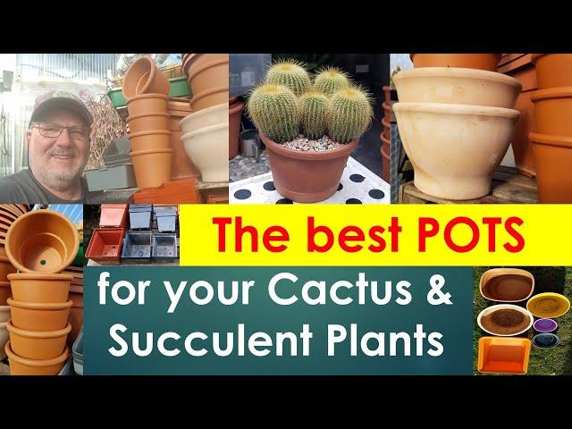 How to choose the best plant pots for your cactus & succulent collection #cactuscare #succulentscare