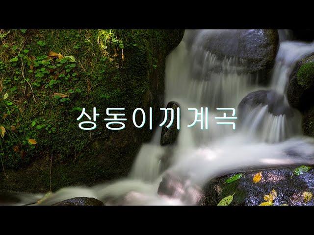 [4K]. 한국의 자연 풍경.상동 이끼계곡.[4K]. Korea's natural landscape. Sangdong Moss Valley