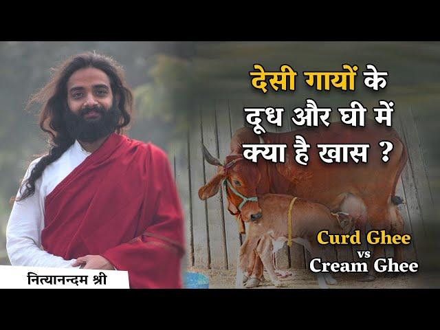 देसी गायों के दूध में क्या है ख़ास? | Anandam Ayurved's A2 Cow Milk & Ghee Vs  Normal Ghee