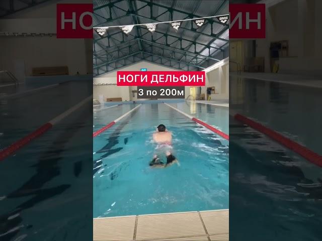 ДЕНЬ 3/30, 2 км плавание на ногах