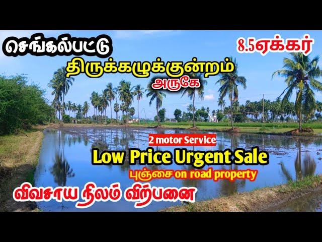 Tirukazhukundram Farmland For Sale||Agriculture Land||Chengalpattu