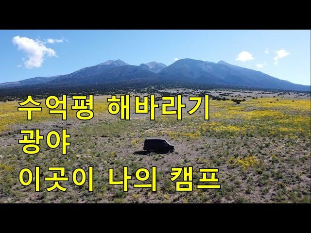 끝이 보이지 않는 해바라기밭. Sun flower field