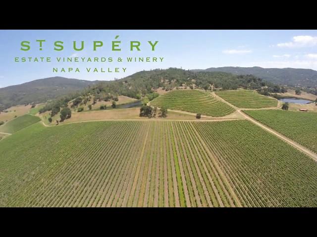 St. Supery Vineyards & Winery, Napa Valley. USA Vineyards and drone