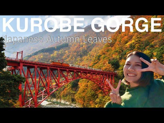 TOYAMA The beautiful autumn leaves in Kurobe Gorge Japan Travel Vlog